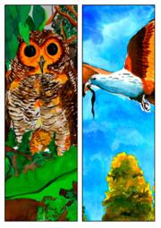 woody-brahmin.jpg