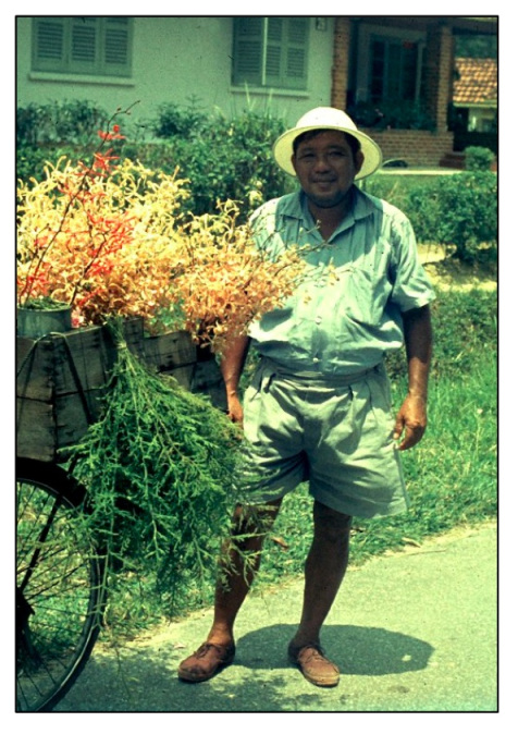 flower-man.jpg