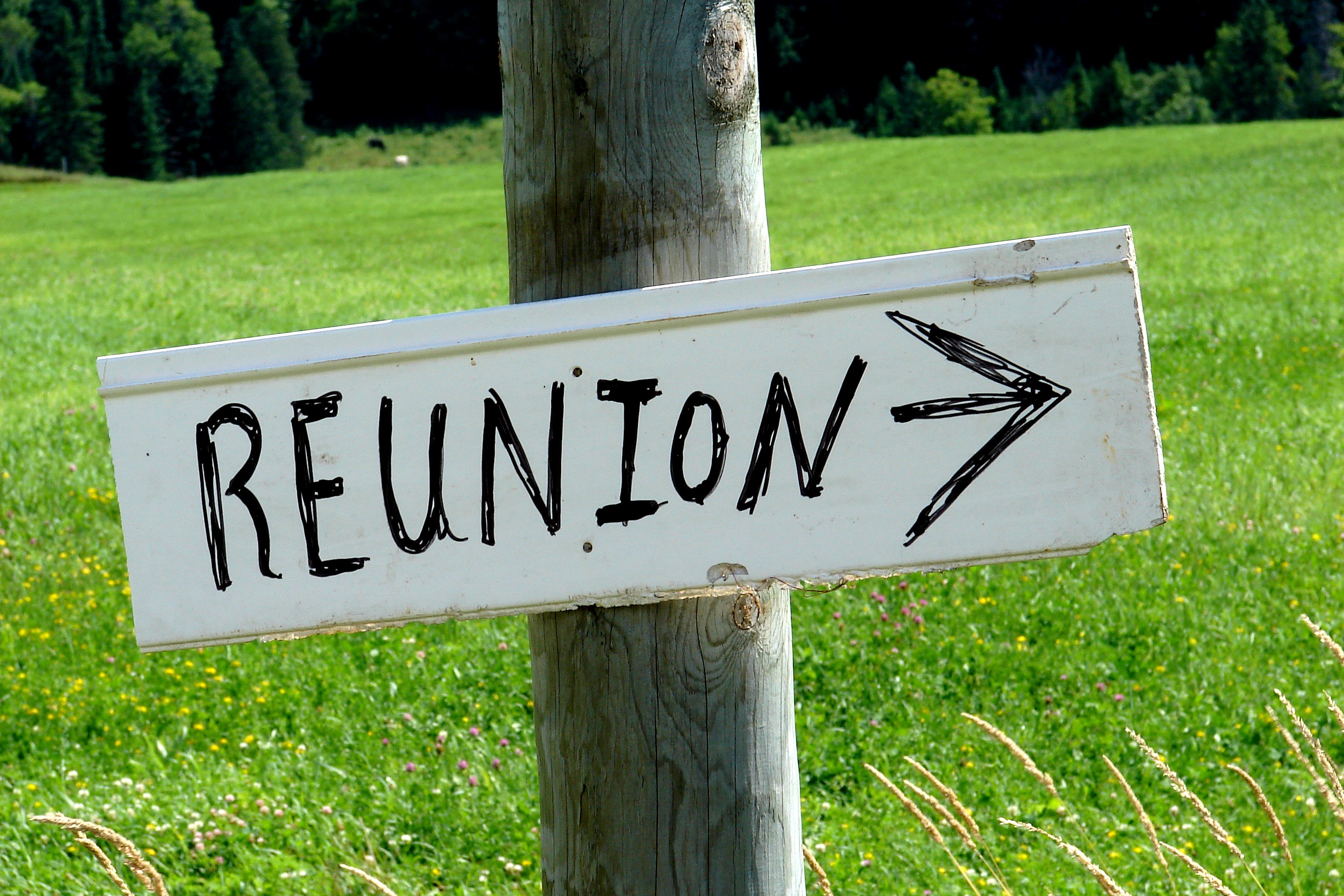 seletar reunion